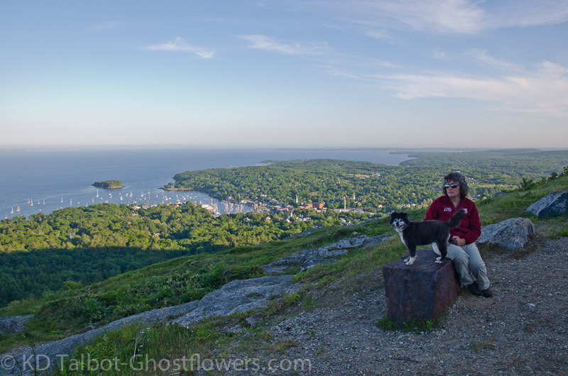 are dogs allowed mount battie maine