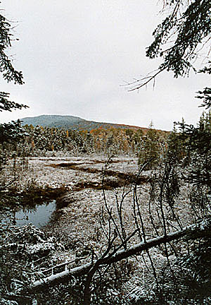 0001baldmtn
