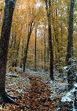 001baldmtn