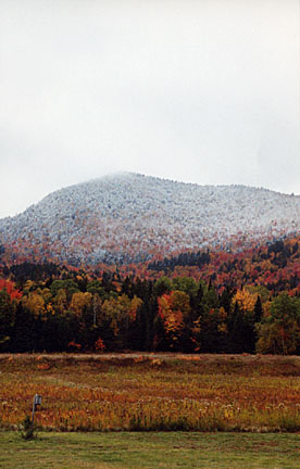 20baldmtn