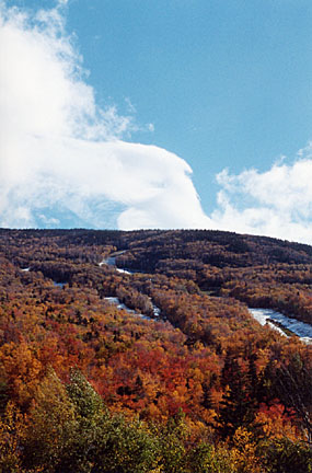 25baldmtn