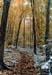 001baldmtn