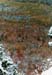 13baldmtn