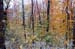 15baldmtn