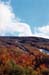 25baldmtn
