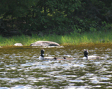 09rangeley7283006
