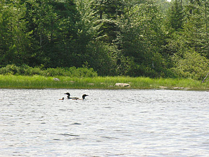 10rangeley7283006