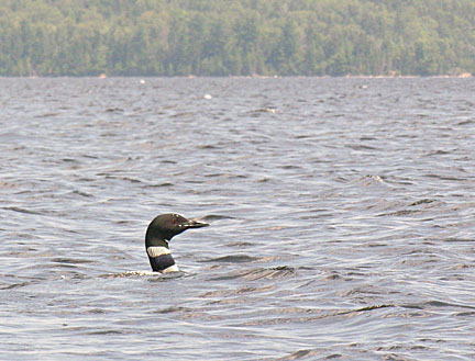 12rangeley7283006