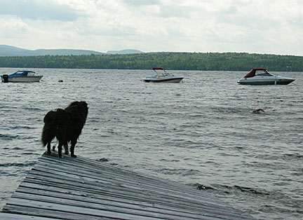 17rangeley7283006