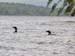 11rangeley7283006
