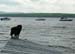 17rangeley7283006