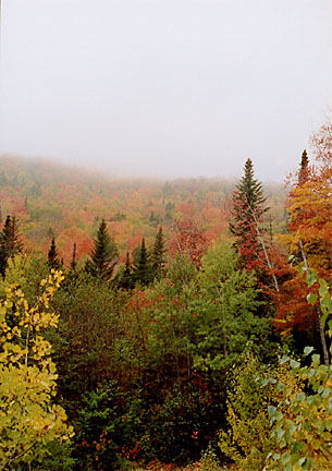01rangeleyautumn