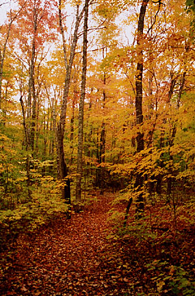 02rangeleyautumn