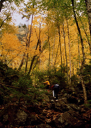 04rangeleyautumn