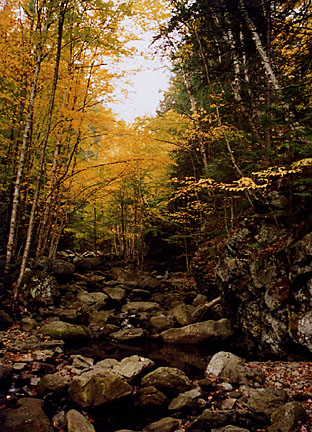 05rangeleyautumn