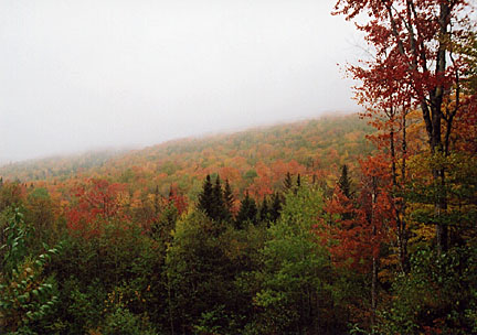 13rangeleyautumn
