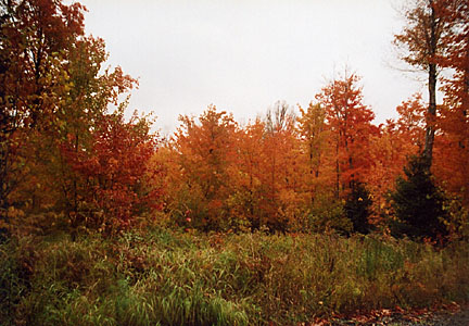 16rangeleyautumn