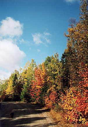 20rangeleyautumn
