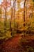 02rangeleyautumn