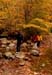 03rangeleyautumn
