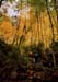 04rangeleyautumn