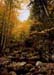 05rangeleyautumn