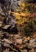 08rangeleyautumn