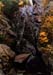 09rangeleyautumn