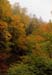 12rangeleyautumn