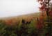 13rangeleyautumn