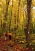 14rangeleyautumn