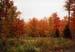 16rangeleyautumn