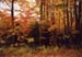 17rangeleyautumn
