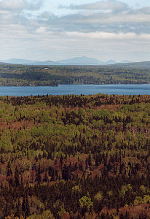 02rangeleyspring