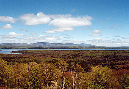 03rangeleyspring