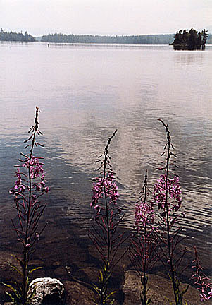 25rangeleyspring