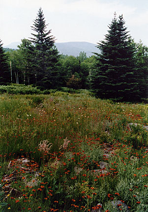 16rangeley