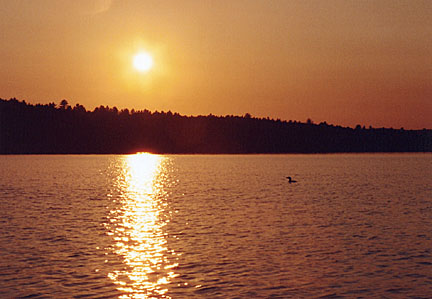 33rangeley