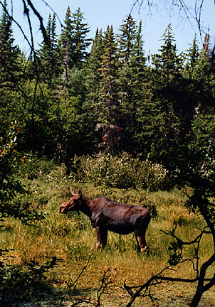 37rangeley