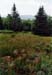 16rangeley