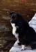 298rangeley