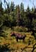 37rangeley