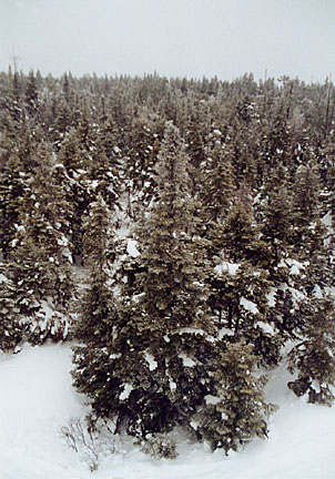 09rangeleywinter