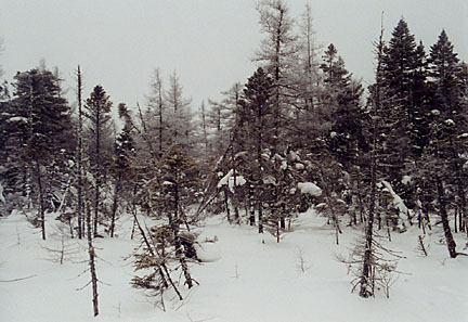 10rangeleywinter