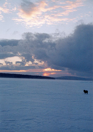 34rangeleywinter