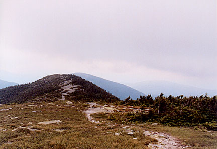 12saddleback