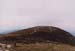 11saddleback