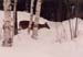 07winterdeer