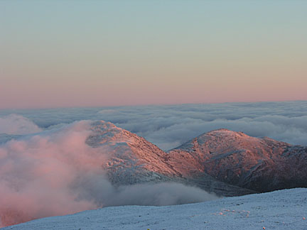 37mwovolunteer1107