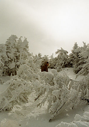 51franconia
